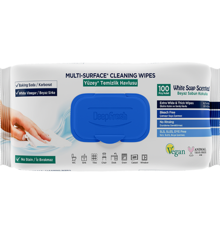 Deep Fresh Multi Surface Cleaning Wet Wipes, 12 packs of 100 wipes – antibacterial and effective wet wipes for cleaning all types of surfaces
