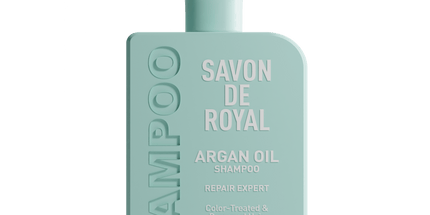 Shampoo in Argan fragrance, case of 12 x 500ml bottles — wholesale bulk for UK businesses